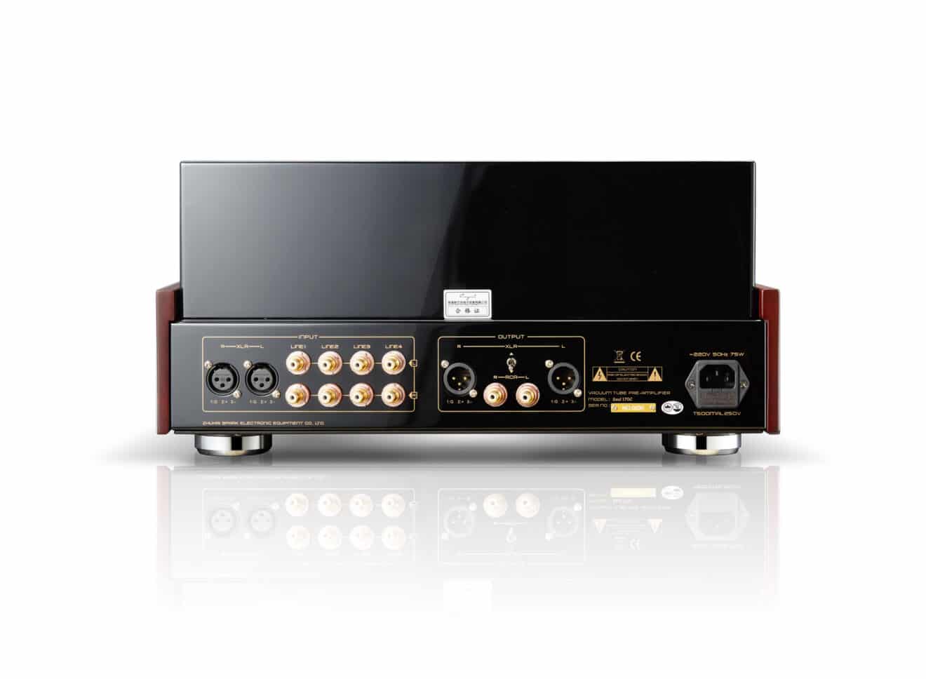 Cayin Soul 170C
